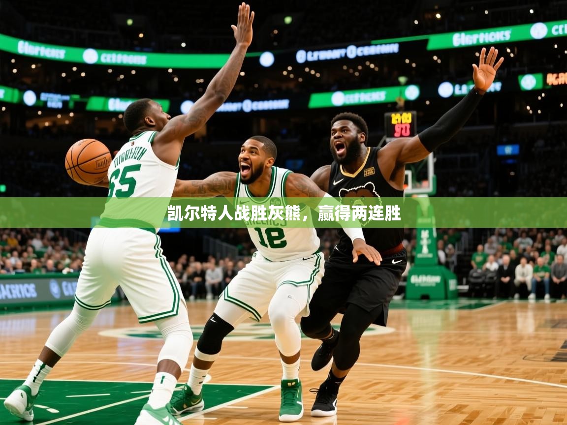2025开云体育入口下载凯尔特人战胜灰熊，赢得两连胜  第3张